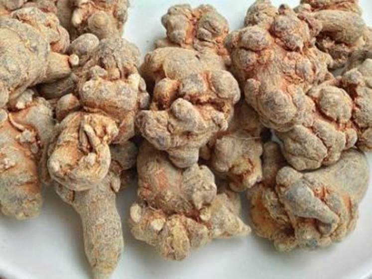 Công dụng của tam thất ngâm mật ong